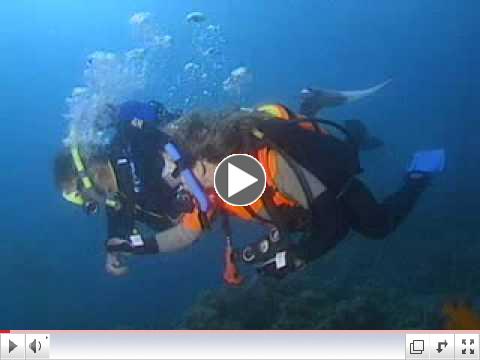 PADI Scuba Diving Lessons: PADI Peak Performance Buoyancy Course