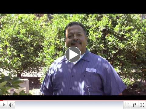 From Harvest to Home