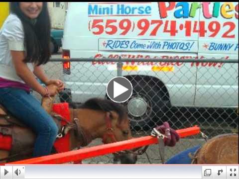 Mini Horse rides on a carousel or Mini Horse Drawn Cinderella Carriage Rides