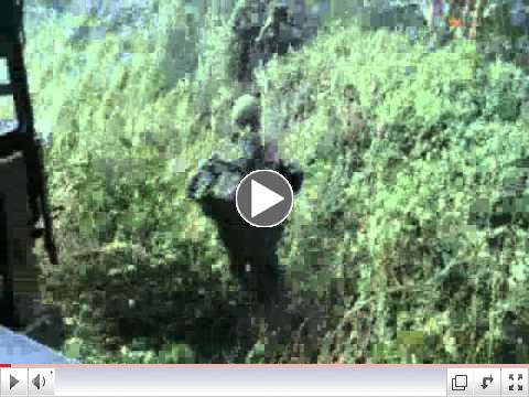 The Animals - We Gotta Get Out Of This Place