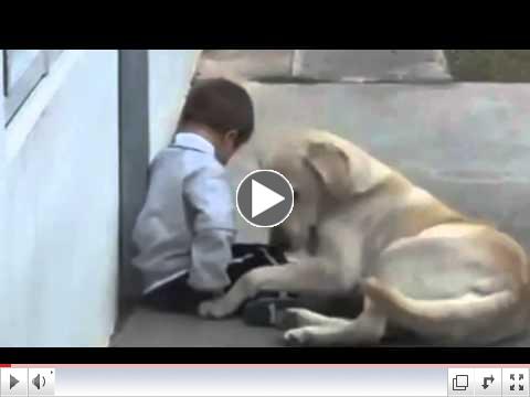 Awwww