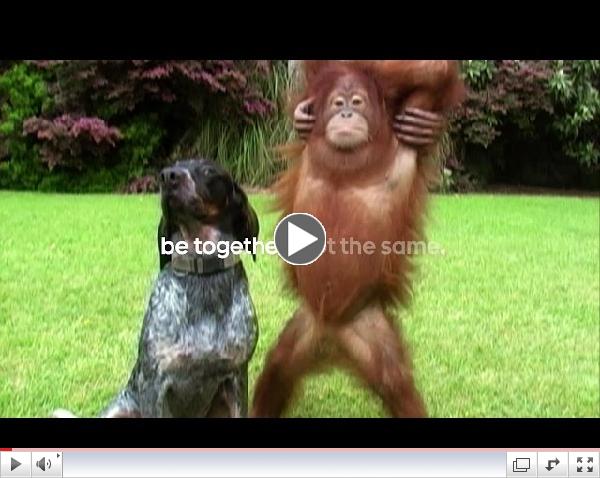 Android BFF Furever Commercial -  Featuring Animals from the Myrtle Beach Safari