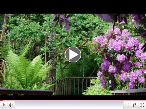 Lost Gardens of Heligan - Cornwall