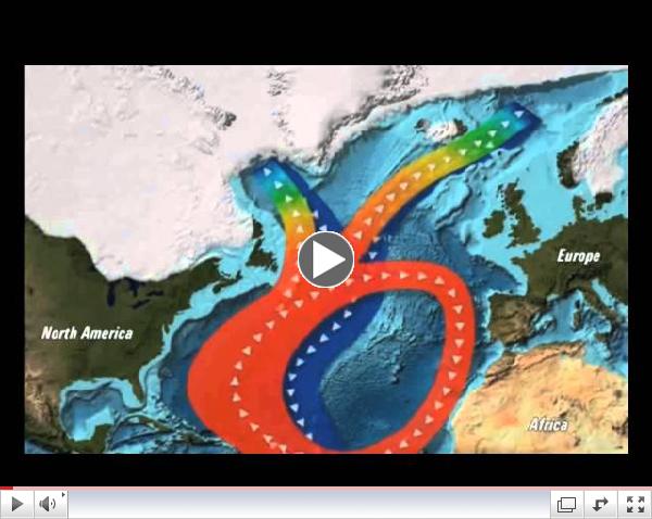 Abrupt Impacts of Climate Change