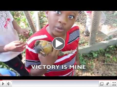 Spring Chicken Chase Video!!