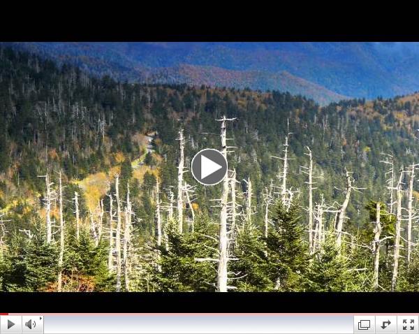 Smoky Mountain Explorer Series - An Island in the Sky - Promotional Trailer