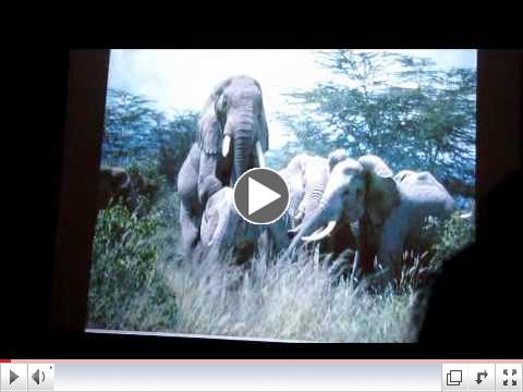 PART 2 Cynthia Moss: Celebrating Elephants 2012