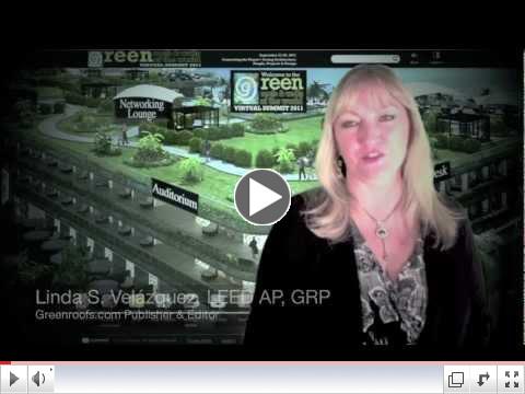 Virtual Summit 2011 Highlights Video