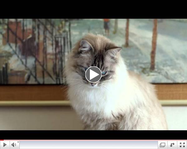 'Mammoth??? Modern Insulation' TVC -- Nikolai