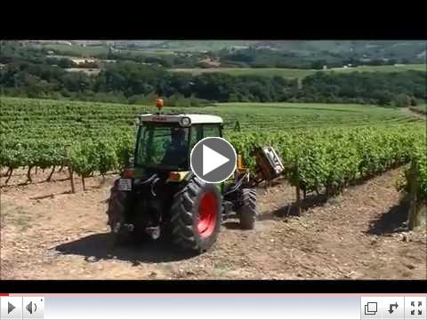 Pellenc Leaf Remover