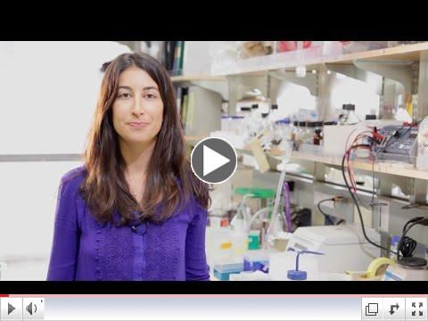 Maya Ridinger - Salk Alumni-Faculty Fellow 2014