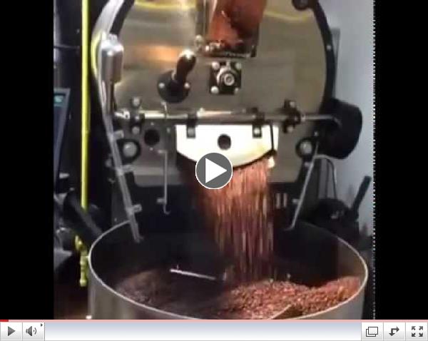 Fresh Roasted Coffee Since 1979