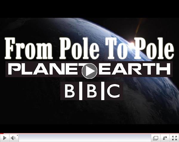 Planet Earth Episode 1 From Pole to Pole - BBC Documentary