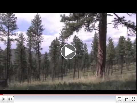 Heli Logging Part 2 A