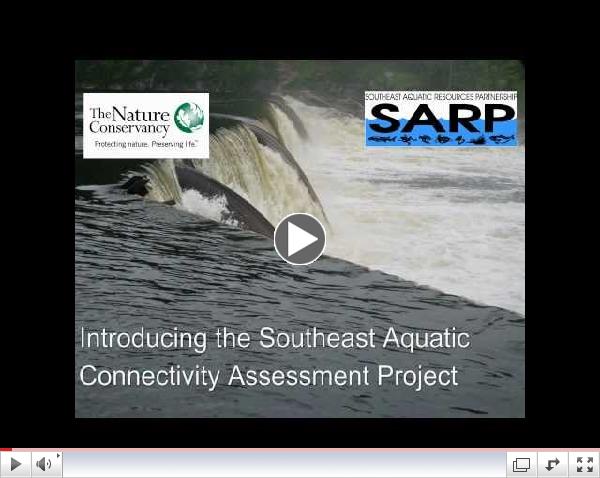 SEACAP Introduction