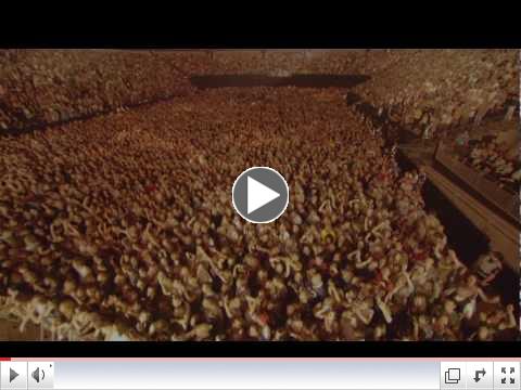Kings of Leon - 