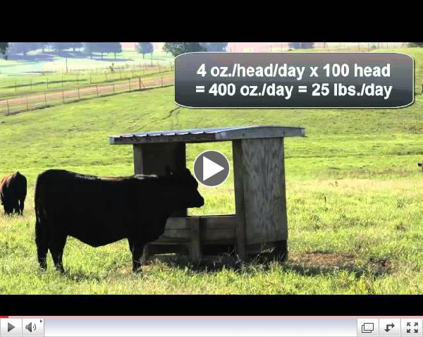 Mineral and Vitamin Feeding Management