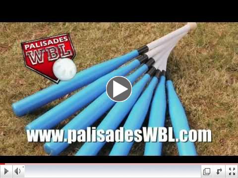 Wiffle Ball The GTSOH Bat