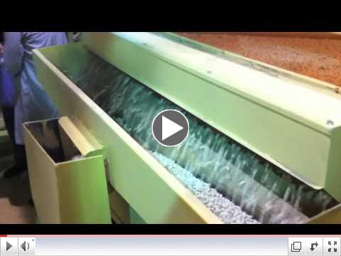 Hensall District Cooperative - Bean Sorting