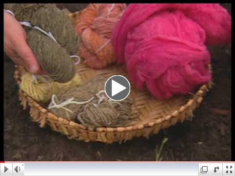 How To Make Dye From Plants