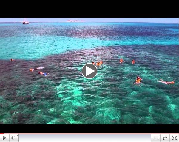 Discover the Bahamas