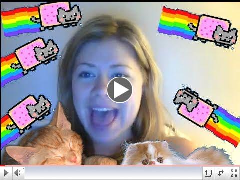 I want to hug all cats!