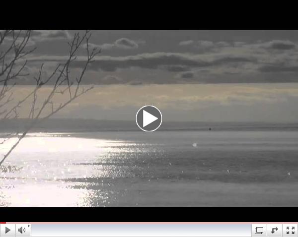 Humpback whale in Puget Sound-Carkeek Park-March 18, 2015