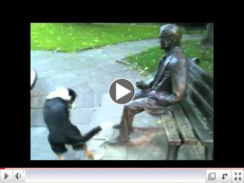 Very funny dog! Really determined too...
