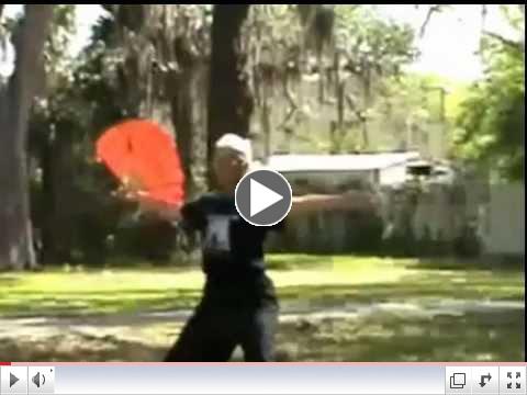 Sarasota World Tai Chi and Qigong Day - 2013