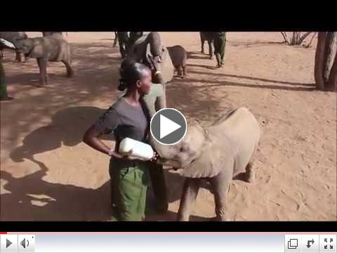 Empowering Samburu Women in Northern Kenya