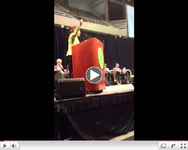 Congressional Black Caucus Emergency Urban Violence Summit,