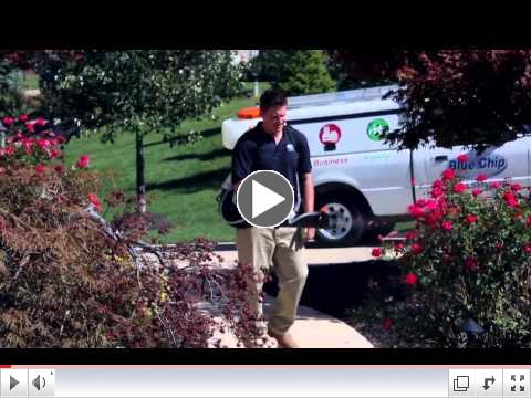 Blue Chip Pest - Mosquito Service