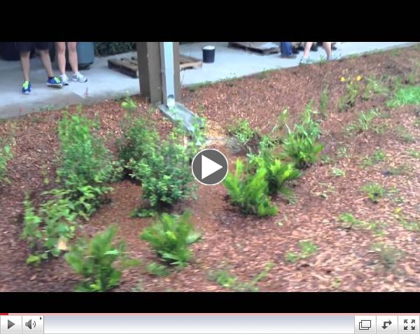 2014 Rain Garden Science Summer Camp