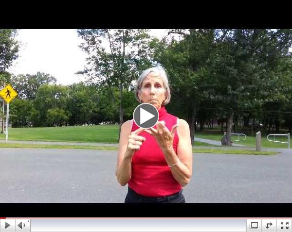 About Primitive Reflexes