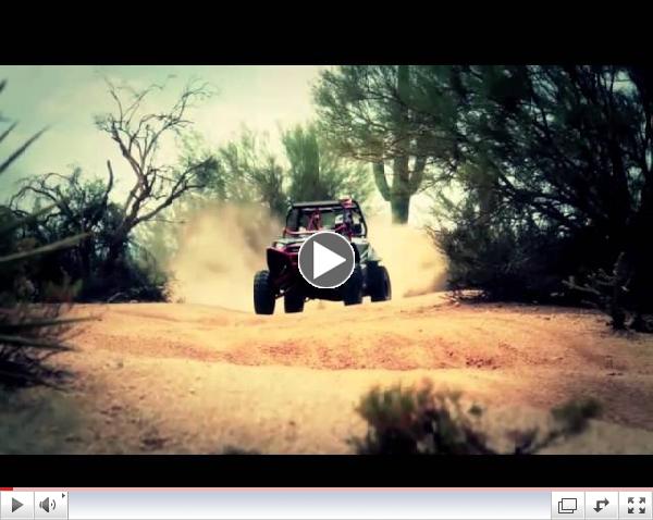 DragonFire ProSpec Shocks by Elka