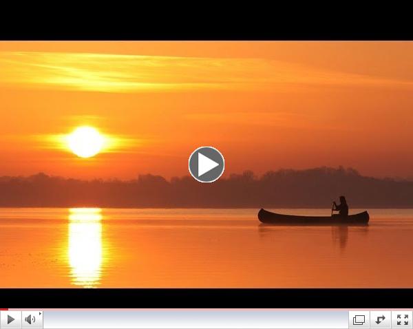 The Secret Life of the Shannon 