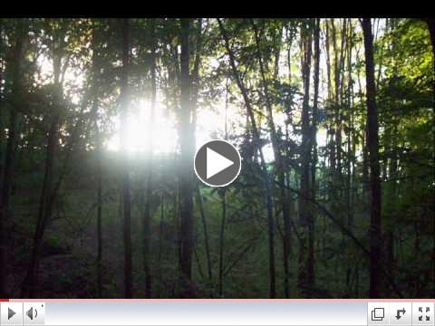 Perfect Day Miriam Stockley Lyrics