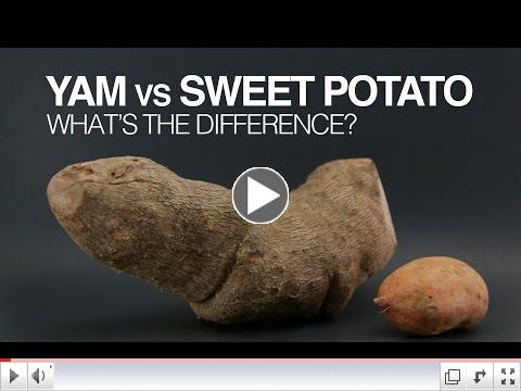 Yams vs Sweet Potatoes: What's the Difference?