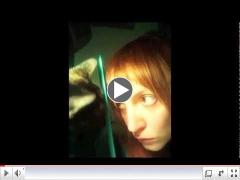 CatzinClothez.mov