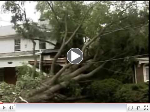 Understanding Trees and Insurance: Podcast