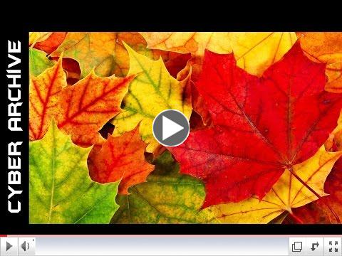 15 Interesting Facts About Autumn