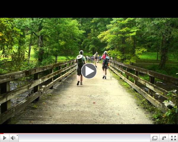GSMA Member Hike into Hazel Creek and Bone Valley
