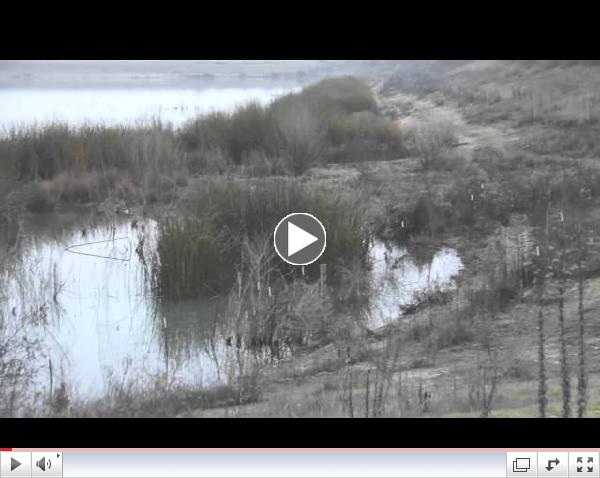 River West Access For All Video