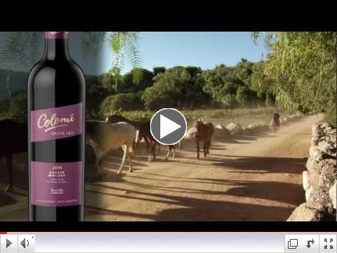 Donald Hess Presents Bodega Colome