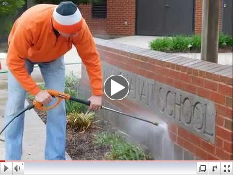 CASD Cares Event Involved Hundreds of Volunteers