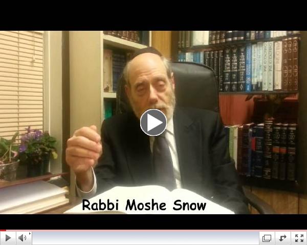 Rabbi Moshe Snow - Parshas Behar