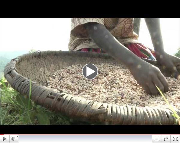 Burundi: A strike against chronic malnutrition
