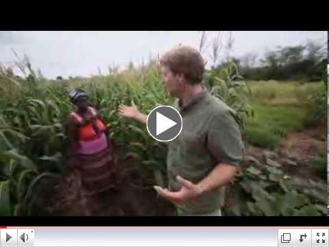 Born to Explore: Zulu Community Garden South Africa