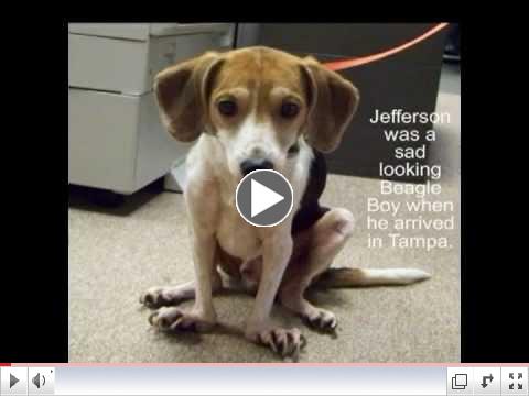 Jefferson20120314.avi