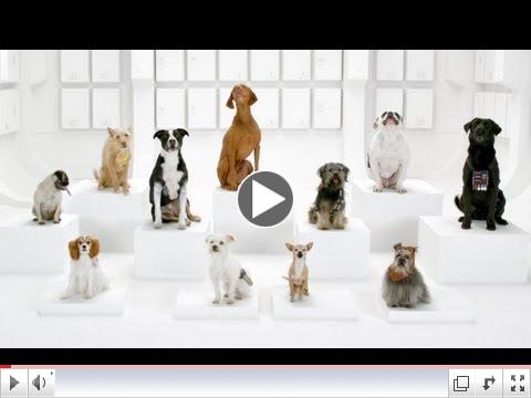 The Bark Side: 2012 Volkswagen Game Day Commercial